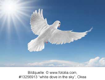 Die Taube als Symbol für den Frieden